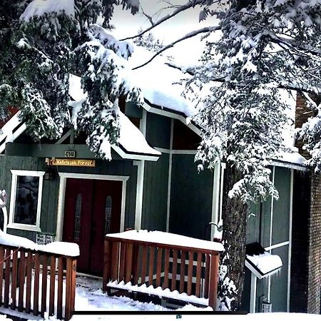 Villa Hallelujah Forest Big Bear Lake Exterior foto